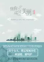 怪你过分美丽(epub格式电子书下载)[s3568]