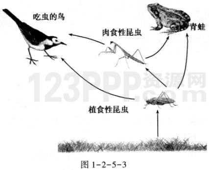 第1单元第一、二章检测[附答案解析]