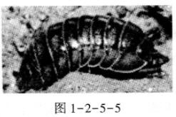 第1单元第一、二章检测[附答案解析]