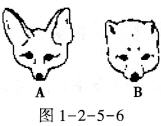 第1单元第一、二章检测[附答案解析]