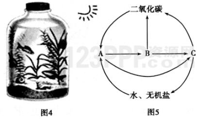 期中测试（一）全练试题[附答案解析]