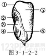 第1章2节　种子植物 _全练试题[附答案解析]