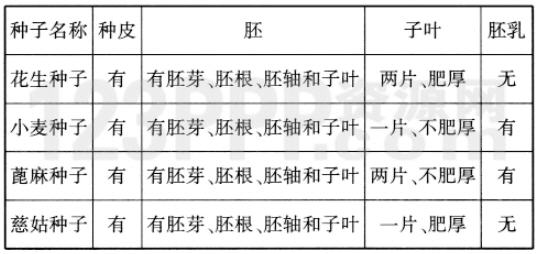 第1章2节　种子植物 _全练试题[附答案解析]