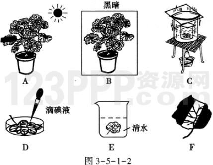 第5章1节　光合作用吸收二氧化碳释放氧气_全练试题[附答案解析]