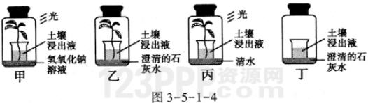 第5章1节　光合作用吸收二氧化碳释放氧气_全练试题[附答案解析]