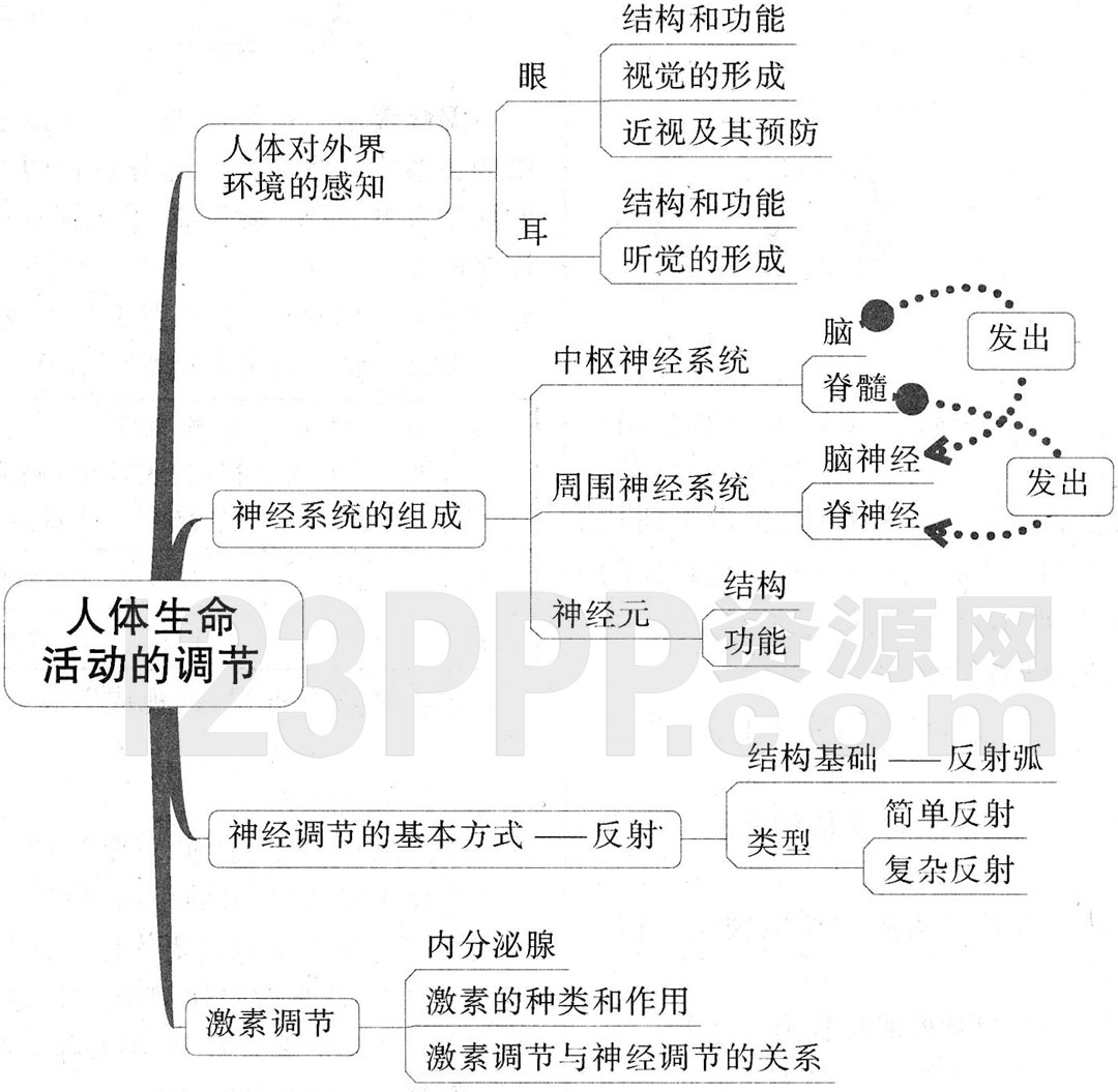 初一生物(人教版)七年级下册【第6章 人体生命活动的调节】思维导图及教材练习答案